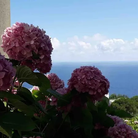 Apartment Vista Mare, Giardino, Posto Auto *
